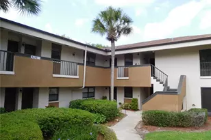 2700 Nebraska Ave, Palm Harbor, FL 34684 - Photo 1