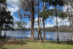 21001 Lake Vienna Dr, Land O Lakes, FL 34638 - Photo 1