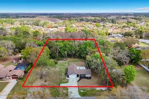 12504 Twin Branch Acres Rd, Tampa, FL 33626 - Photo 1