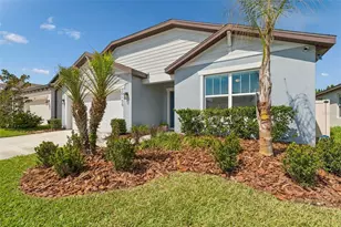 30155 Merilee Pl, Wesley Chapel, FL 33545 - Photo 1