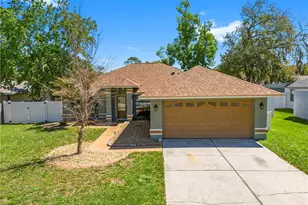 23526 Pine Lake St, Land O Lakes, FL 34639 - Photo 1