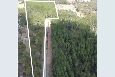 Wild Cur Road, Pierson, FL 32180 - Photo 1
