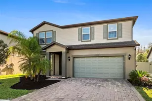 19261 Mossy Pine Dr, Tampa, FL 33647 - Photo 1