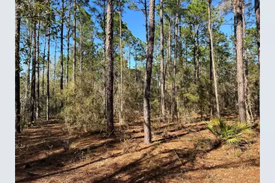 4061 N Little Dove Terrace, Hernando, FL 34442 - Photo 1