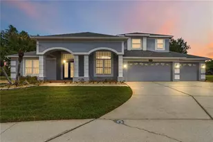 19120 Mandarin Grove Pl, Tampa, FL 33647 - Photo 1