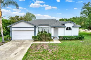 2433 Saddlewood Ln, Palm Harbor, FL 34685 - Photo 1