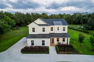 2890 Alexandria Marie Ln, Lutz, FL 33559 - Photo 1