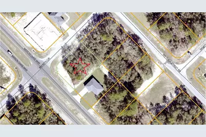 Marion Oaks Mnr, Ocala, FL 34474 - Photo 1