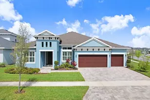 16247 November Rain Ct, Land O Lakes, FL 34638 - Photo 1