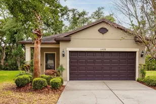 6408 Yellow Buckeye Dr, Riverview, FL 33578 - Photo 1