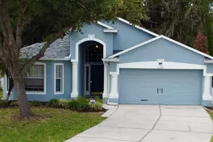 6323 Open Pasture Ct, Wesley Chapel, FL 33545 - Photo 1