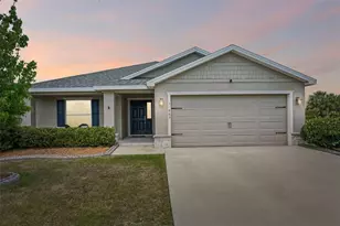 11863 Stone Pine St, Riverview, FL 33569 - Photo 1