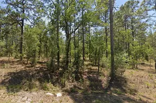 0000 NW Geranium Ave, Dunnellon, FL 34431 - Photo 1
