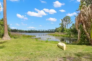 19229 Blount Rd, Lutz, FL 33558 - Photo 1