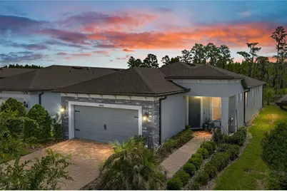 6041 Shorebird Branch, Land O Lakes, FL 34638 - Photo 1