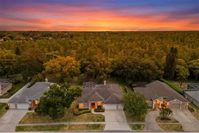 18543 Bittern Avenue, Lutz, FL 33558 - Photo 1