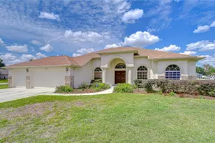 2833 Mossy Timber Trail, Valrico, FL 33596 - Photo 1