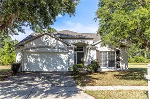 29841 Morningmist Dr, Wesley Chapel, FL 33543 - Photo 1