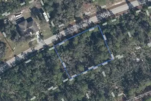 3122 Coolidge Ave, Lake Placid, FL 33852 - Photo 1