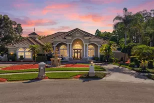 19115 St Emilion Ct, Lutz, FL 33558 - Photo 1