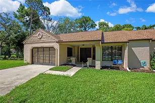 6762 Pearleaf Ct, Spring Hill, FL 34606 - Photo 1