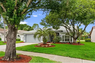 12823 Royal George Avenue, Odessa, FL 33556 - Photo 1