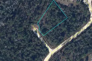 0000 Kulm Ct, Alford, FL 32420 - Photo 1