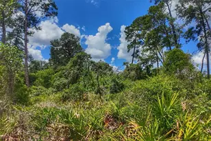 0 Lot 0370, New Port Richey, FL 34654 - Photo 1