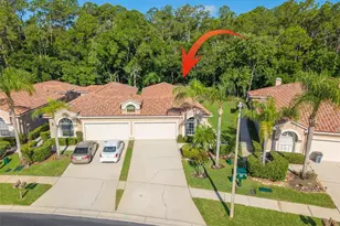 3764 Darston St, Palm Harbor, FL 34685 - Photo 1