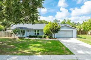 10817 Providence Oaks Dr, Riverview, FL 33578 - Photo 1