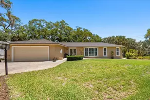 3330 San Domingo St, Clearwater, FL 33759 - Photo 1
