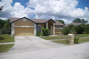 4207 Elba Pl, Valrico, FL 33596 - Photo 1