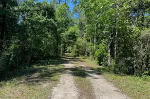 Citadel Dr, Webster, FL 33597 - Photo 1
