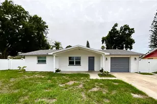 4233 Belle Isle Ct, New Port Richey, FL 34653 - Photo 1