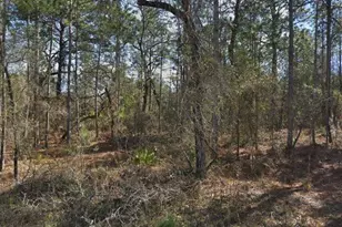 14390 English Sparrow Rd, Weeki Wachee, FL 34614 - Photo 1