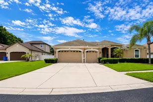 1341 Salmonberry St, Wesley Chapel, FL 33543 - Photo 1