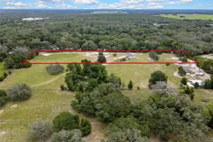 20136 Twin Oaks Rd, Spring Hill, FL 34610 - Photo 1