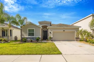 32876 Sand Creek Dr, Wesley Chapel, FL 33543 - Photo 1