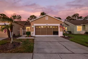 20828 Eustis Rd, Land O Lakes, FL 34637 - Photo 1