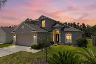 30609 Tremont Dr, Wesley Chapel, FL 33543 - Photo 1