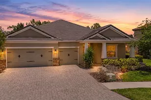 11882 Frost Aster Dr, Riverview, FL 33579 - Photo 1
