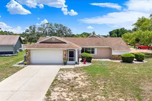 13117 Mink Run Dr, Hudson, FL 34669 - Photo 1