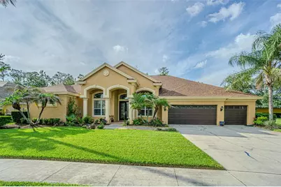27447 Water Ash Drive, Wesley Chapel, FL 33544 - Photo 1