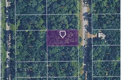 442 Fletcher Avenue, Lake Placid, FL 33852 - Photo 1