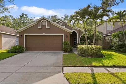 10238 Woodford Bridge Street, Tampa, FL 33626 - Photo 1