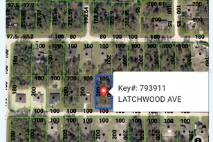 11407 Latchwood Ave, Weeki Wachee, FL 34614 - Photo 1