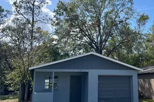 4847 Billy Direct Ln, Lutz, FL 33559 - Photo 1