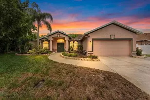 22804 Willow Lakes Dr, Lutz, FL 33549 - Photo 1