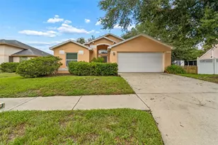 1103 Standing Reed Pl, Wesley Chapel, FL 33543 - Photo 1