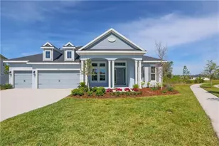 3985 Grand Lakeview Wy, Land O Lakes, FL 34638 - Photo 1